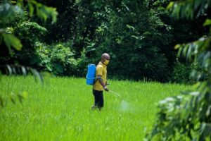 Man spraying pesticides on a field